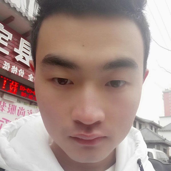 黑猫咪的照片