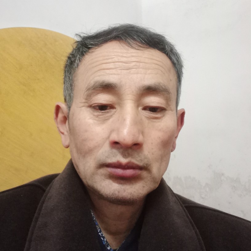 怕黑演变西牛的照片
