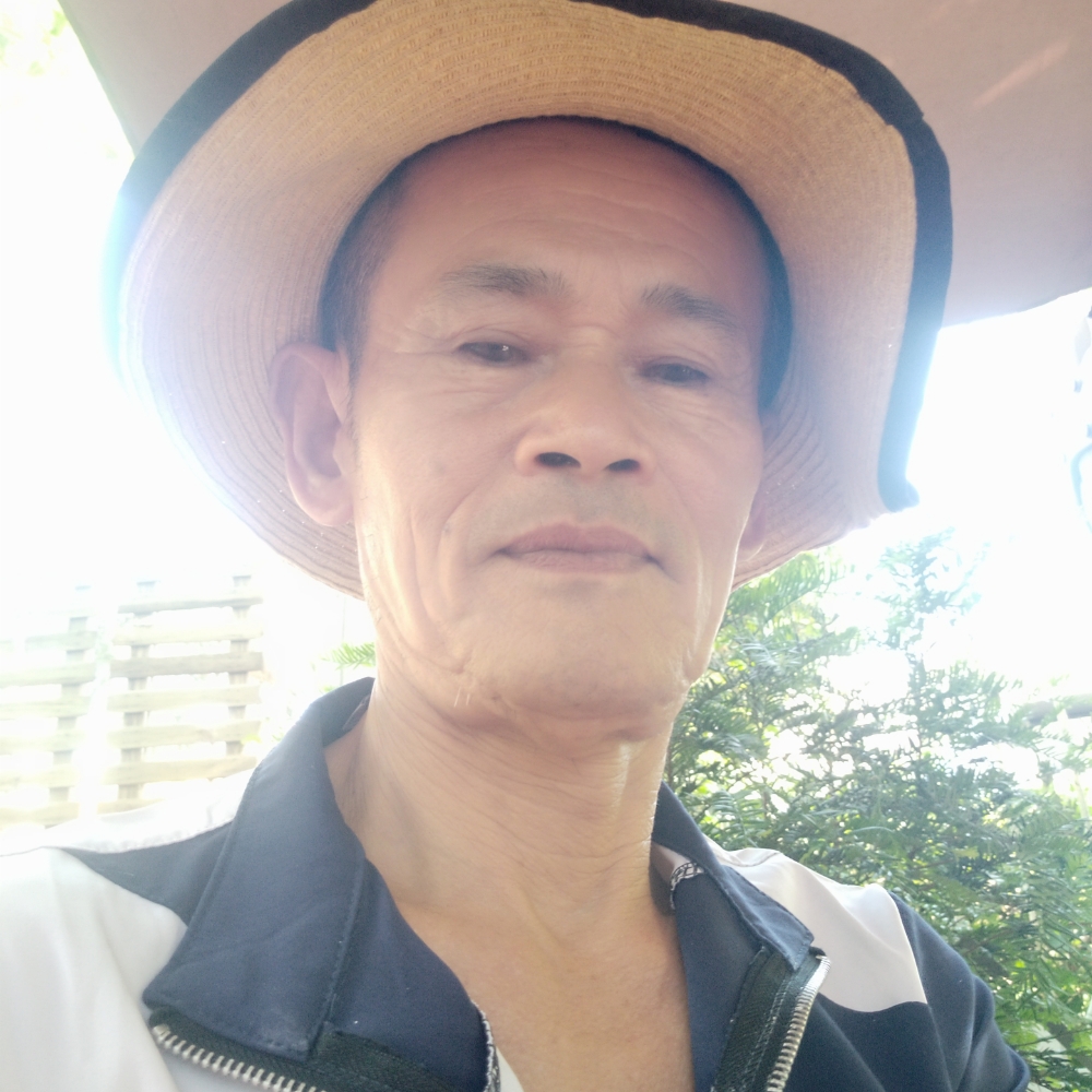 斑马整齐良好的照片