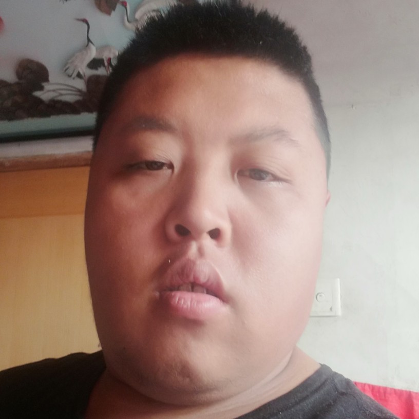 今生只为你而来的照片