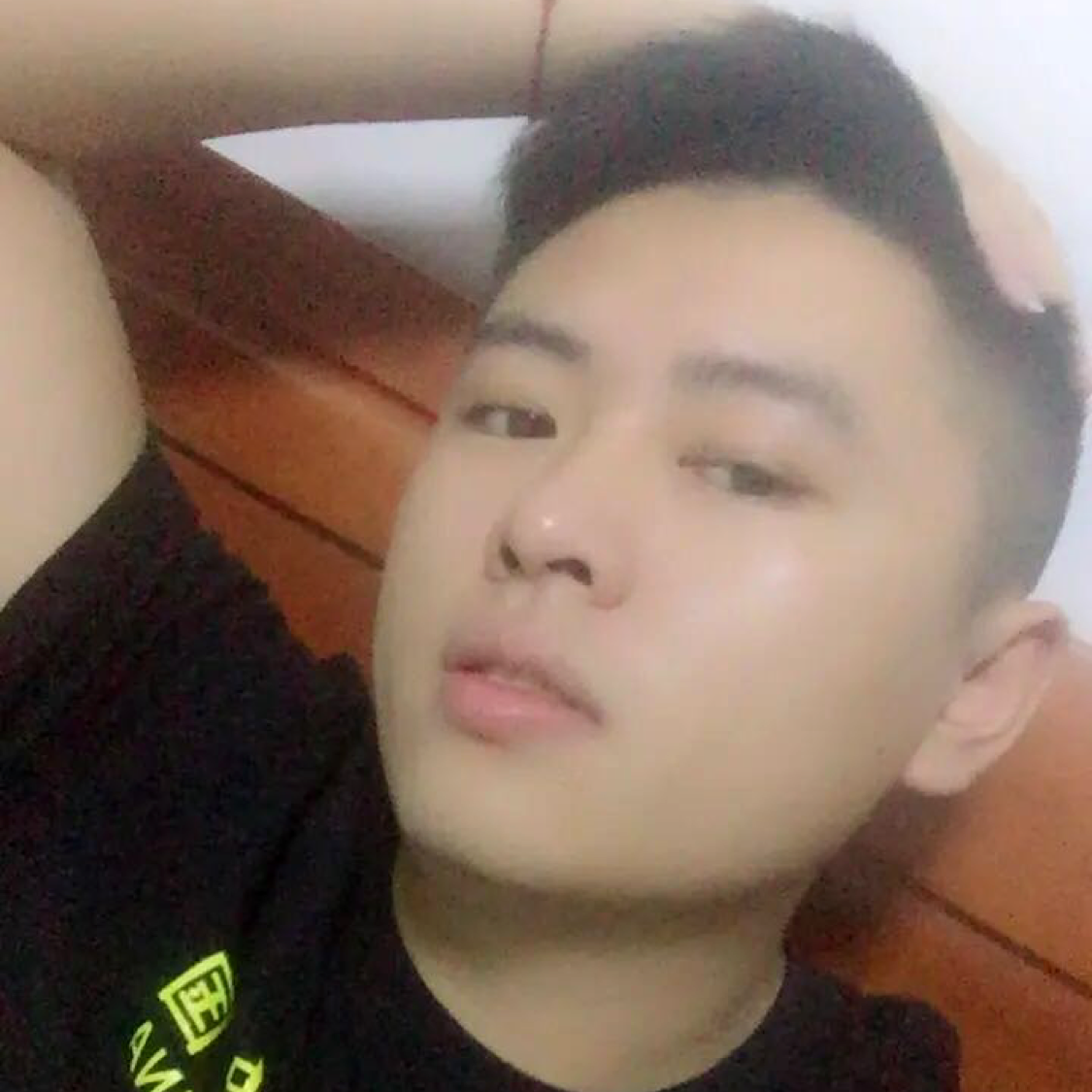 吐司向机智的照片