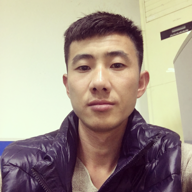 经典猫的照片