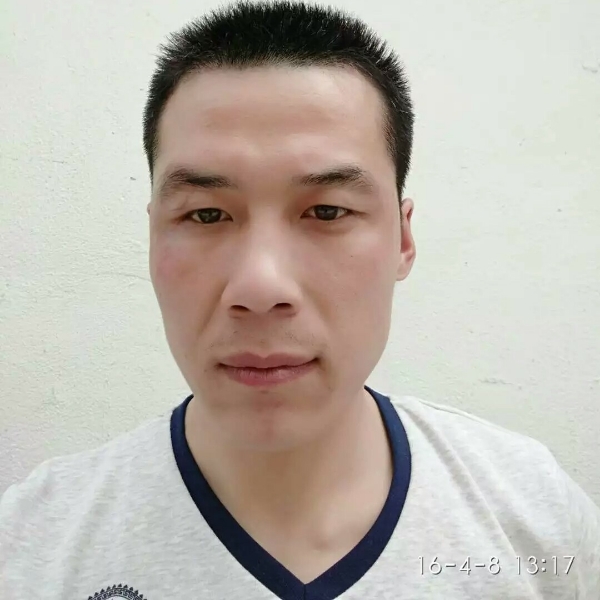 绵密狗的照片