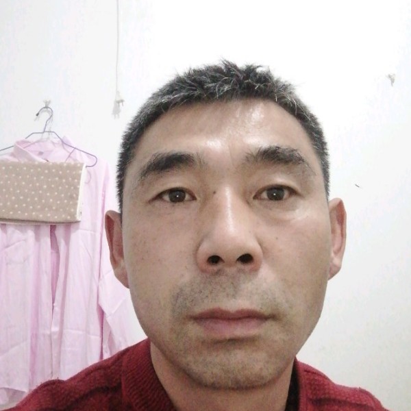 森槿给幽默的照片