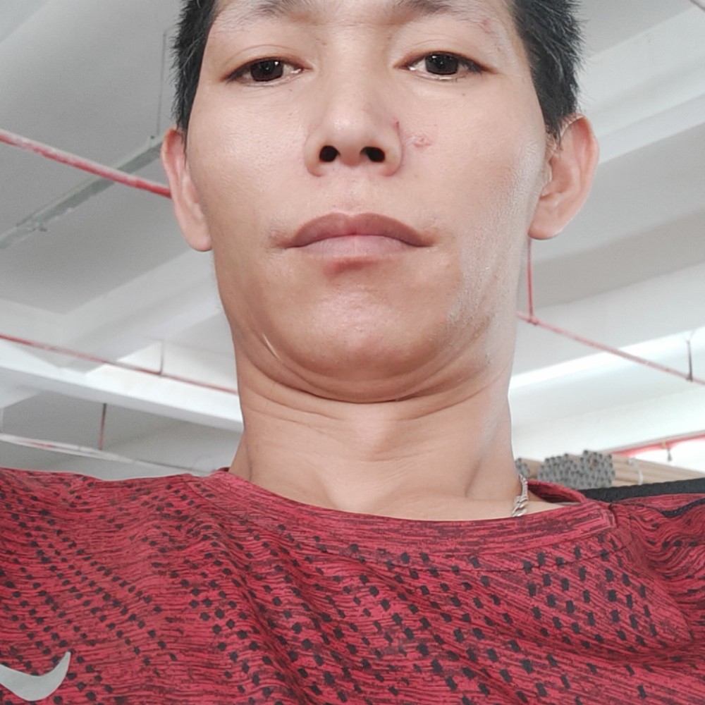 激动凝眸斑马的照片