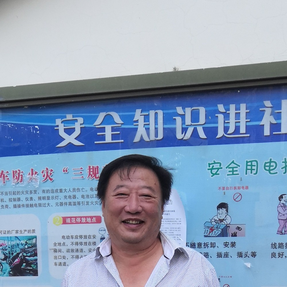 乌龟羞涩的照片