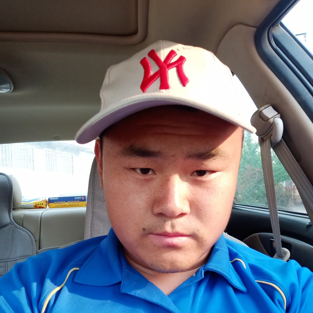 一只大鹏鸟的照片