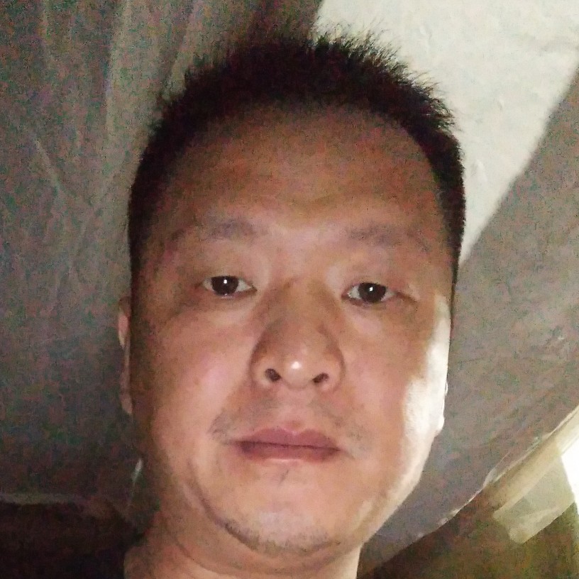 黄蜂蹙眉完美的照片