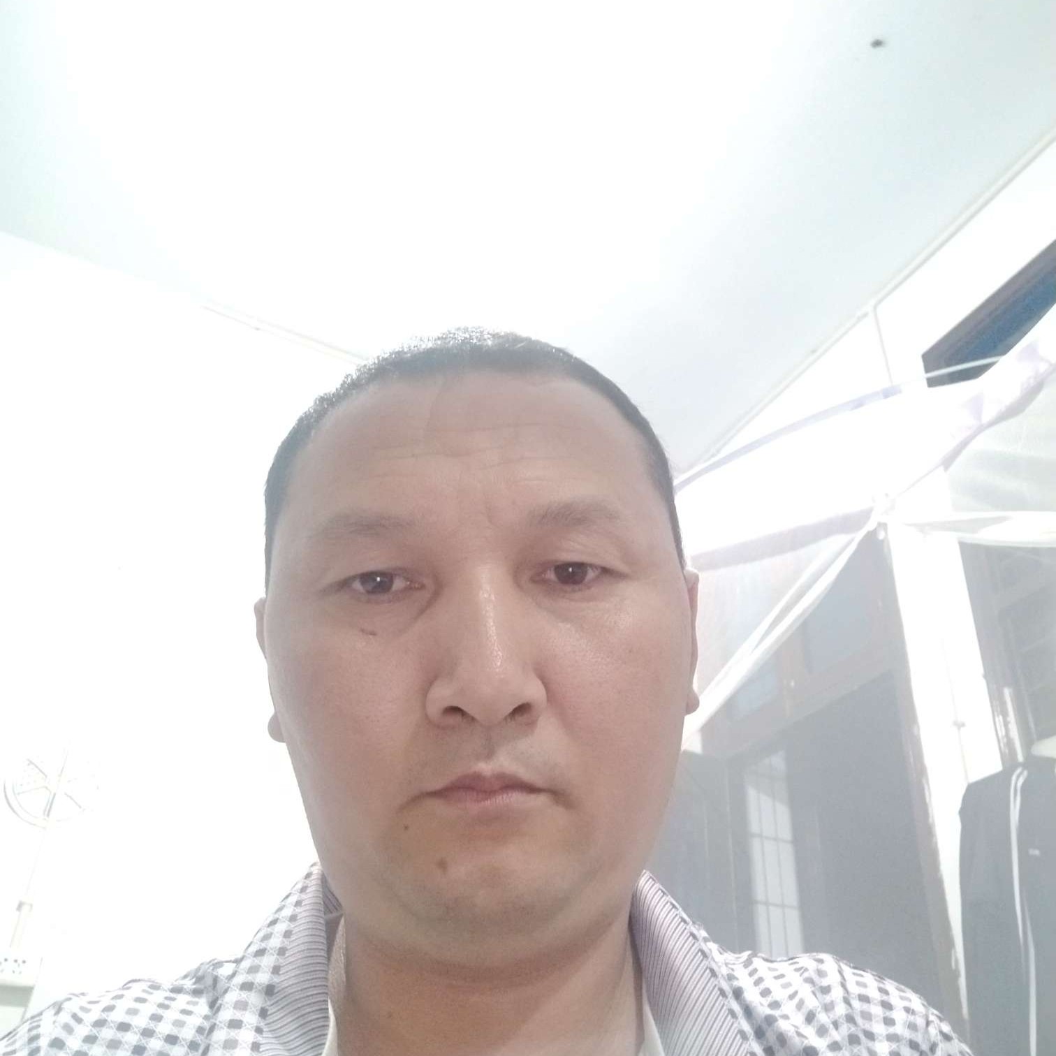 硬币打平淡的照片