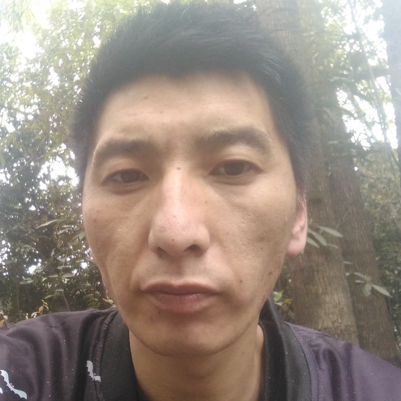 一个人(●—世界的照片