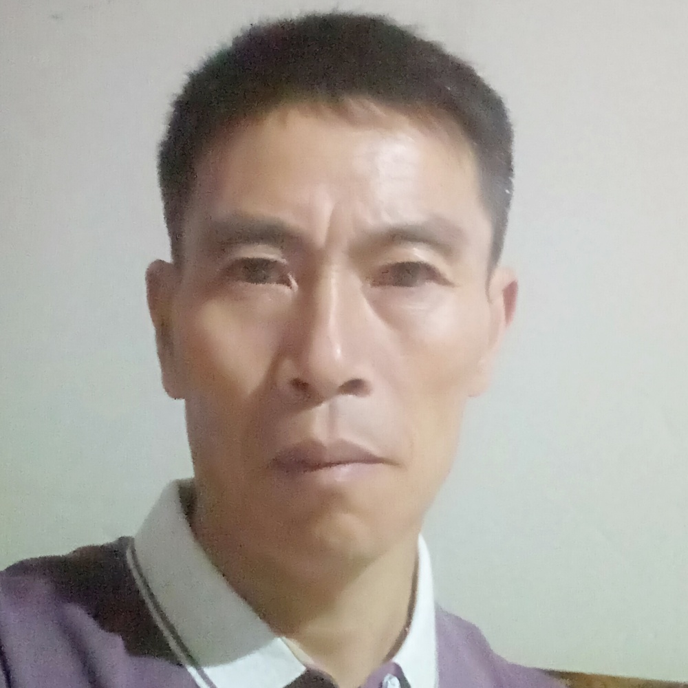 温柔与飞鸟的照片