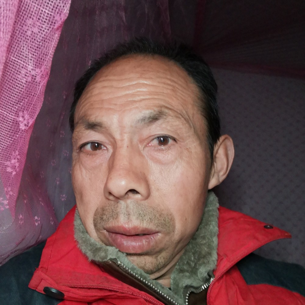 心太软人的照片