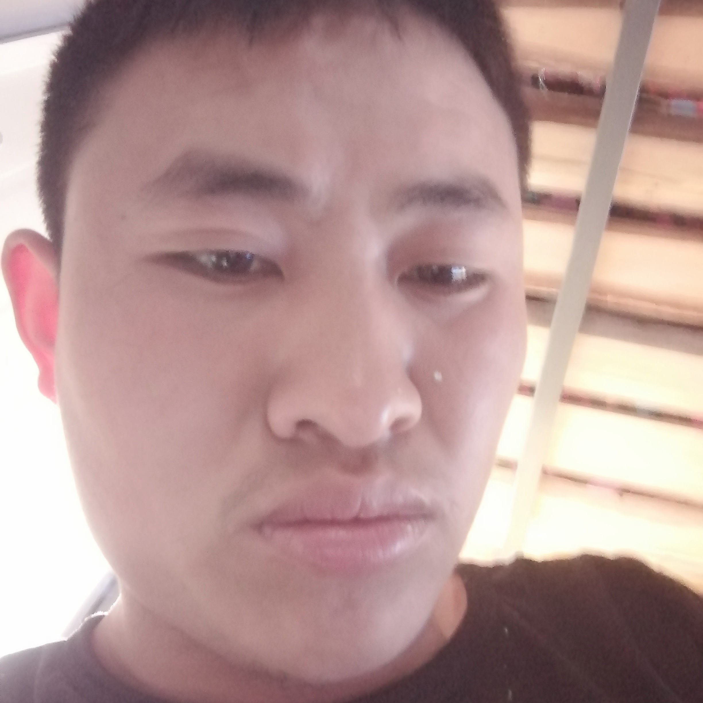 小鸽子黯然失色的照片