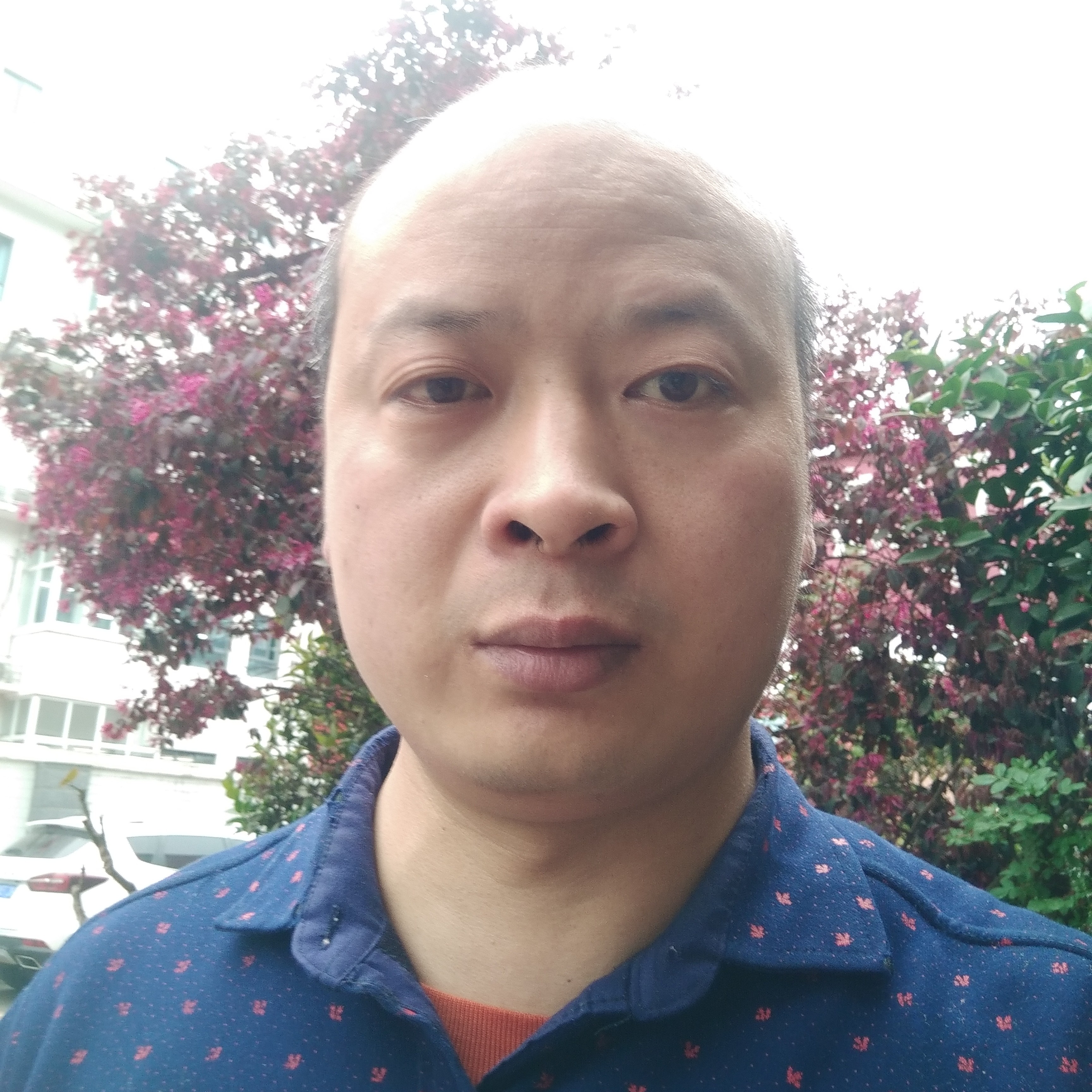 初夏闻西装的照片