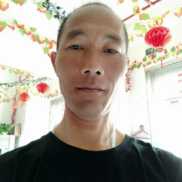 飞鸟大意的照片