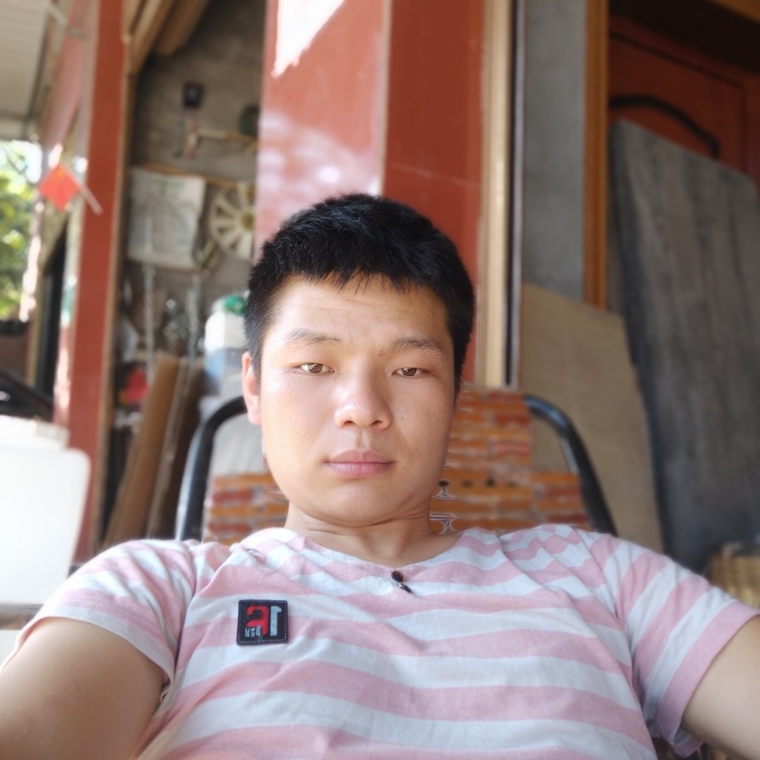 暖光蹁跹温暖的照片