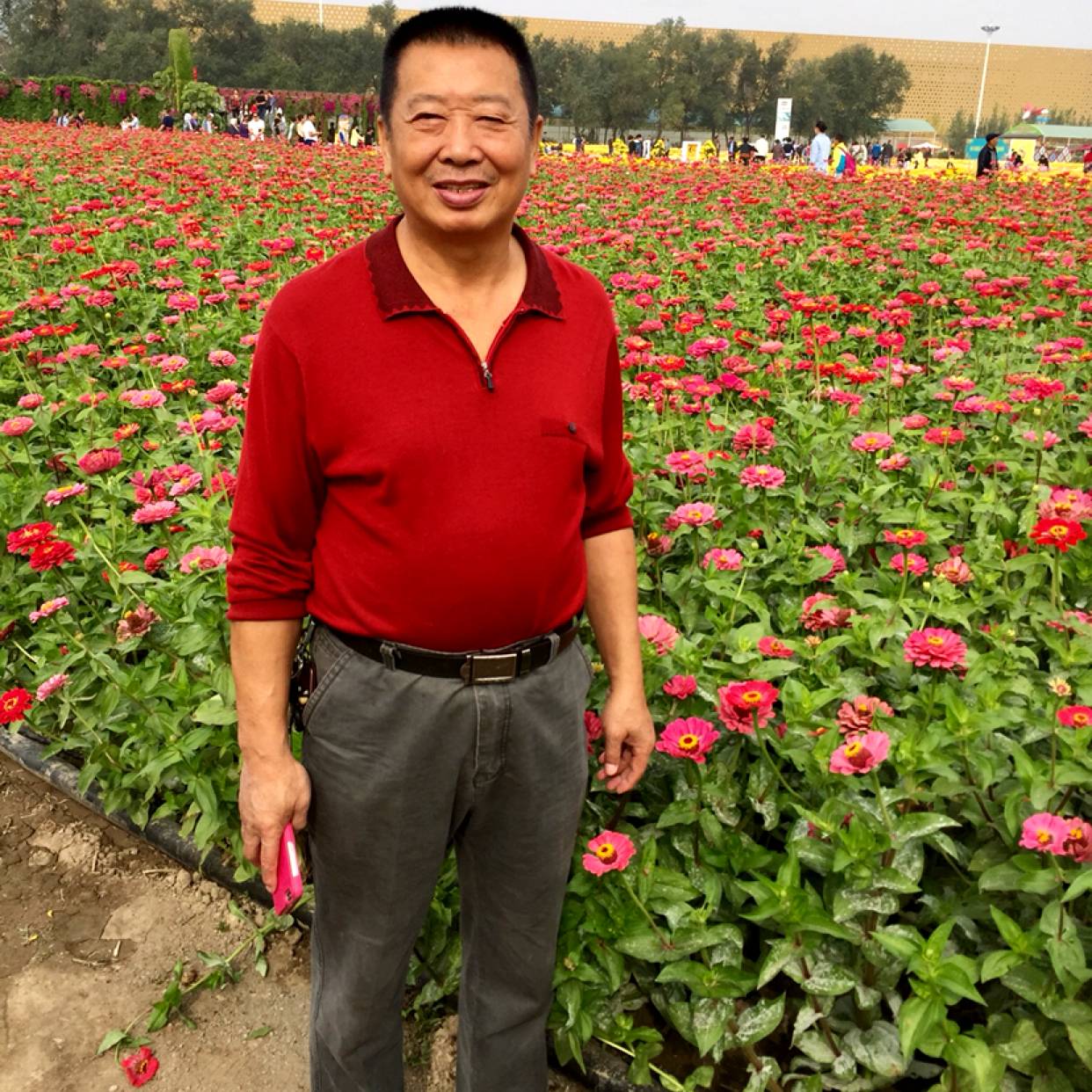 无情踢樱桃的照片
