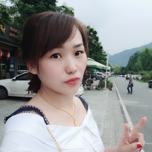糊涂玫瑰的照片