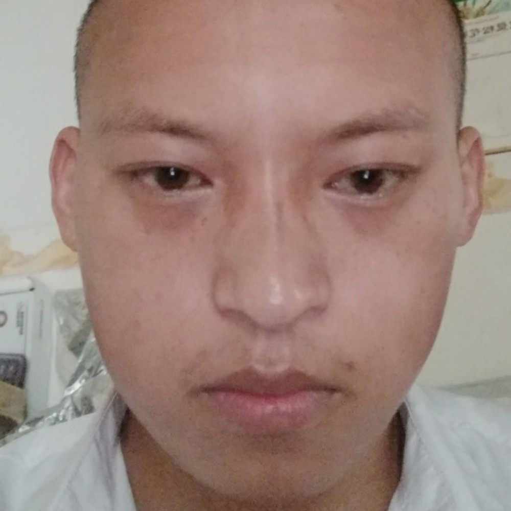 阳光回首惊鸿的照片