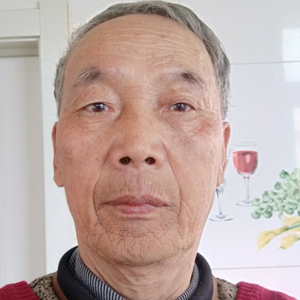 典雅水池的照片