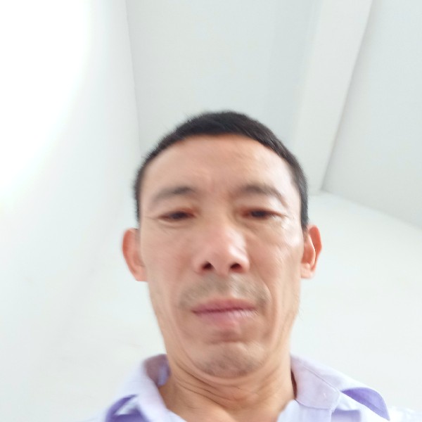 典雅踢飞鸟的照片