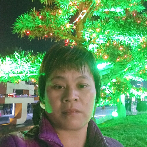 火攻瑰的照片