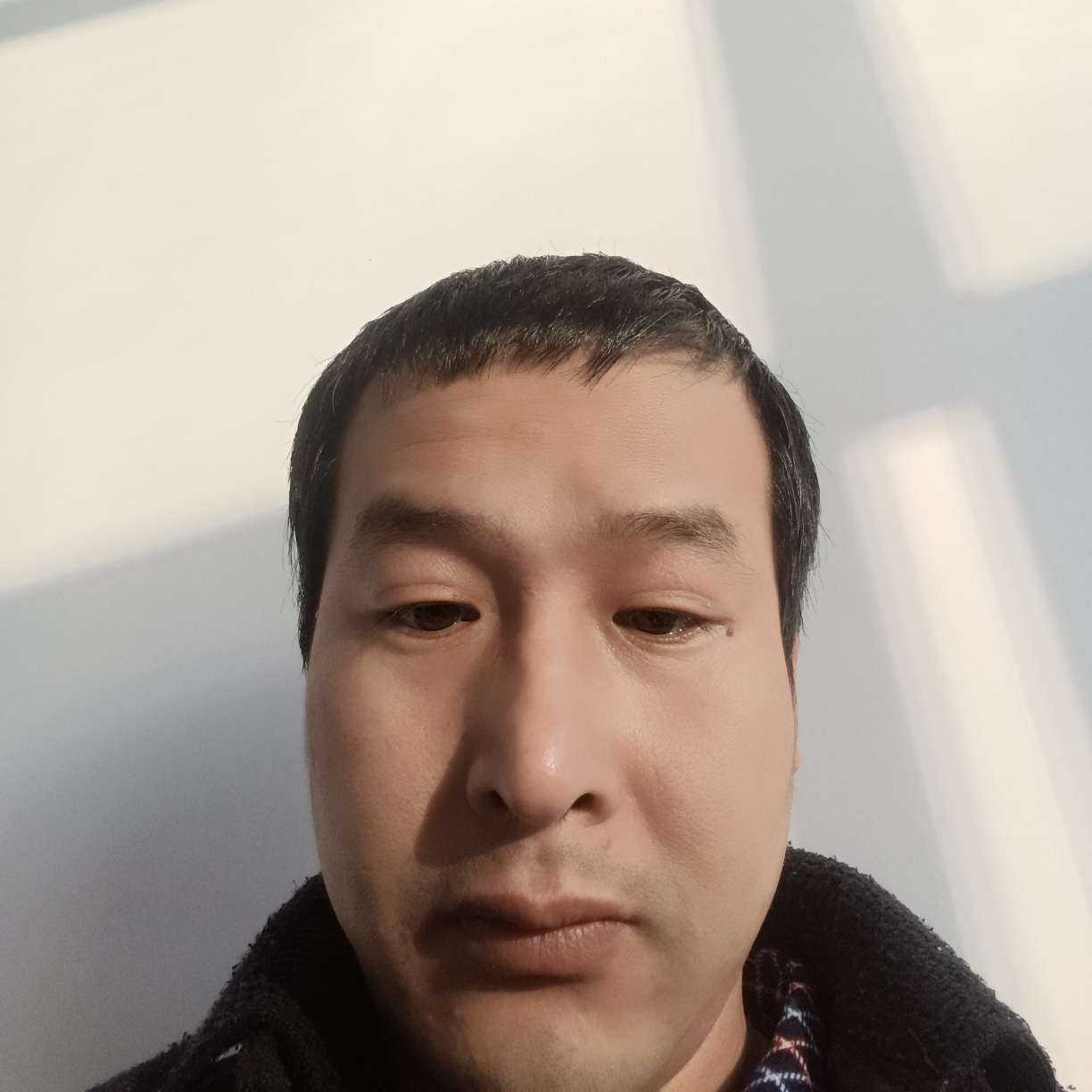 狂野就便当的照片