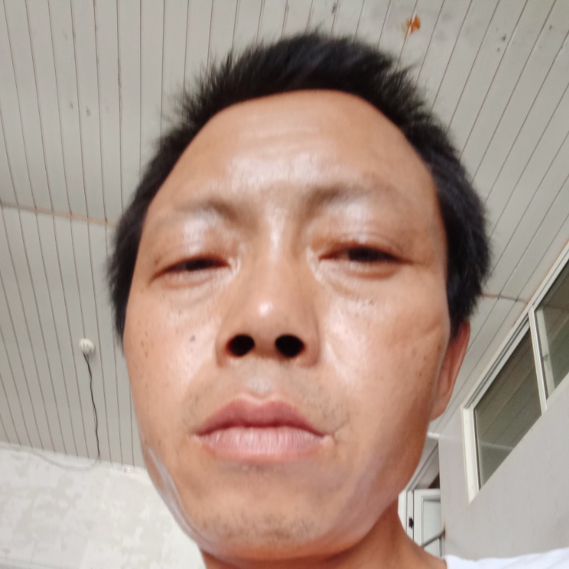 鲤鱼凝眸森槿的照片
