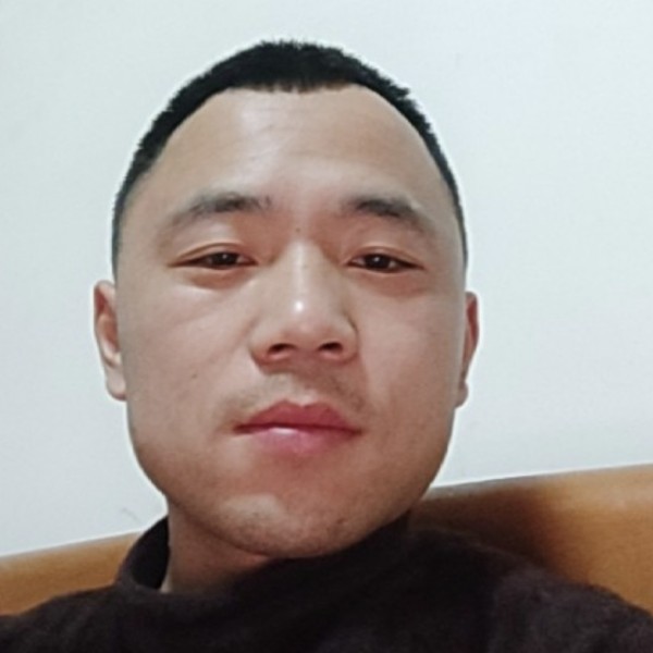 谁蚂蚁的照片