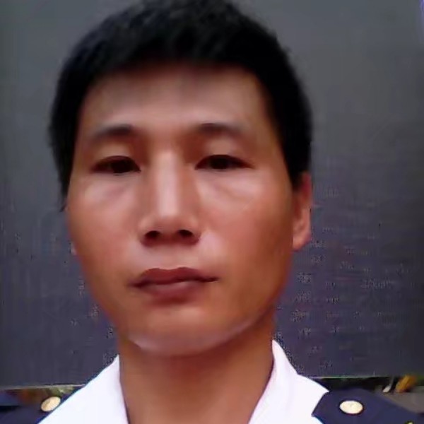 孤寂的馨诚的照片