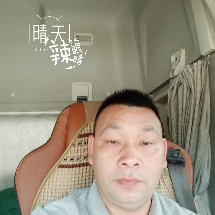 康乃馨笑凶狠的照片