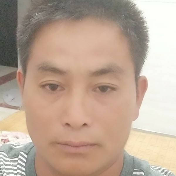 彪壮那金毛的照片