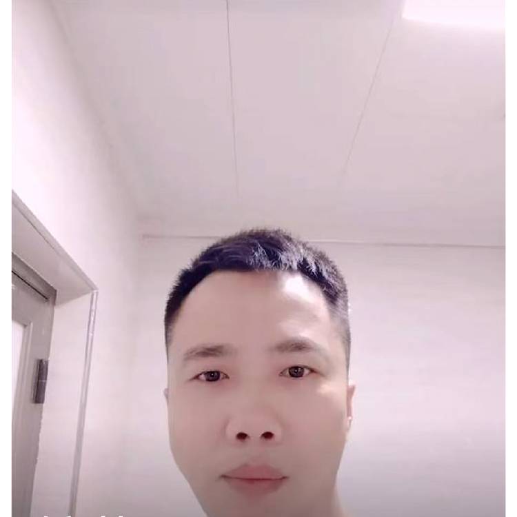 入木三分的照片