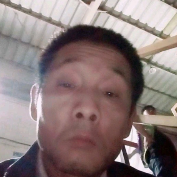 孤單溪流狐狸的照片