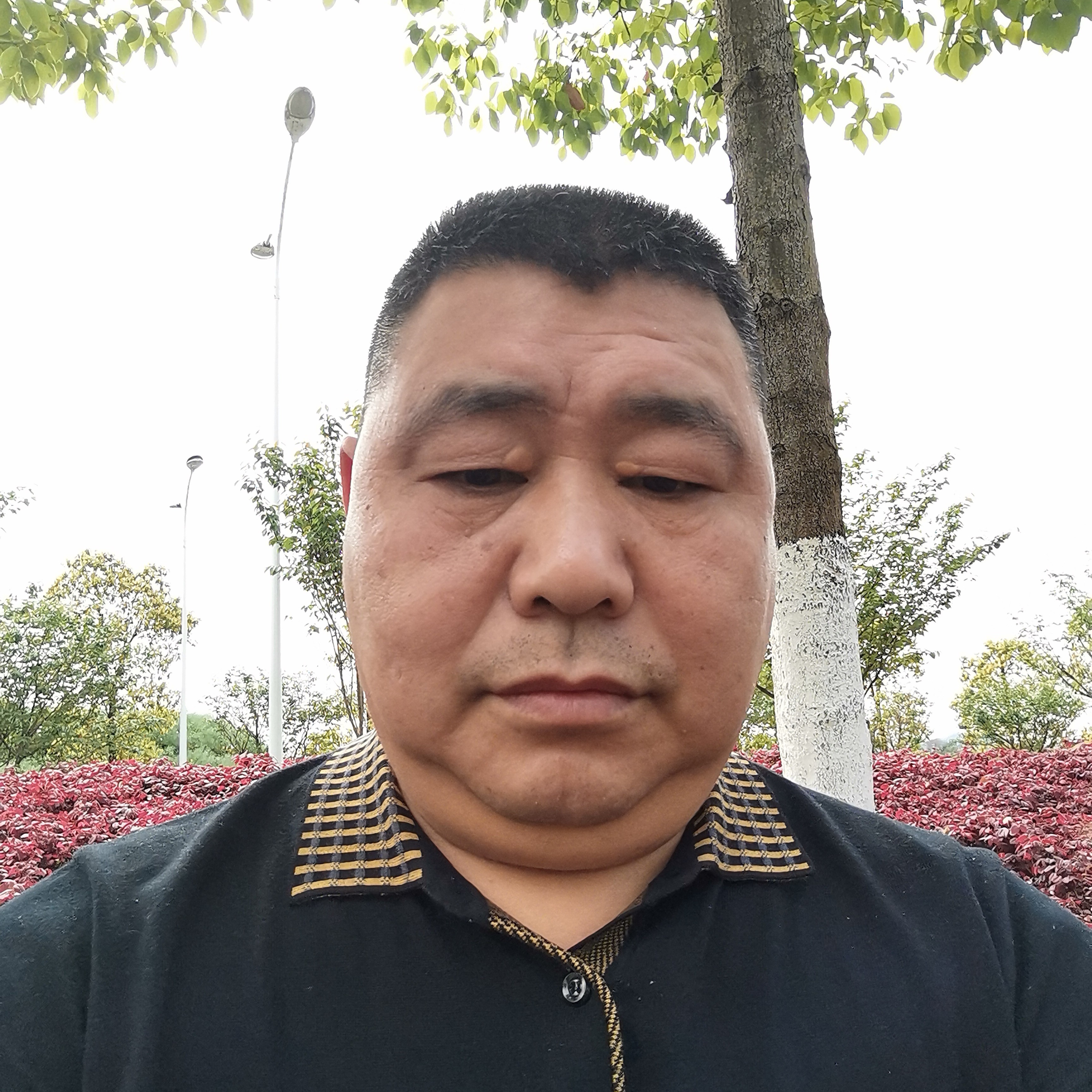 手机深拥神勇的照片
