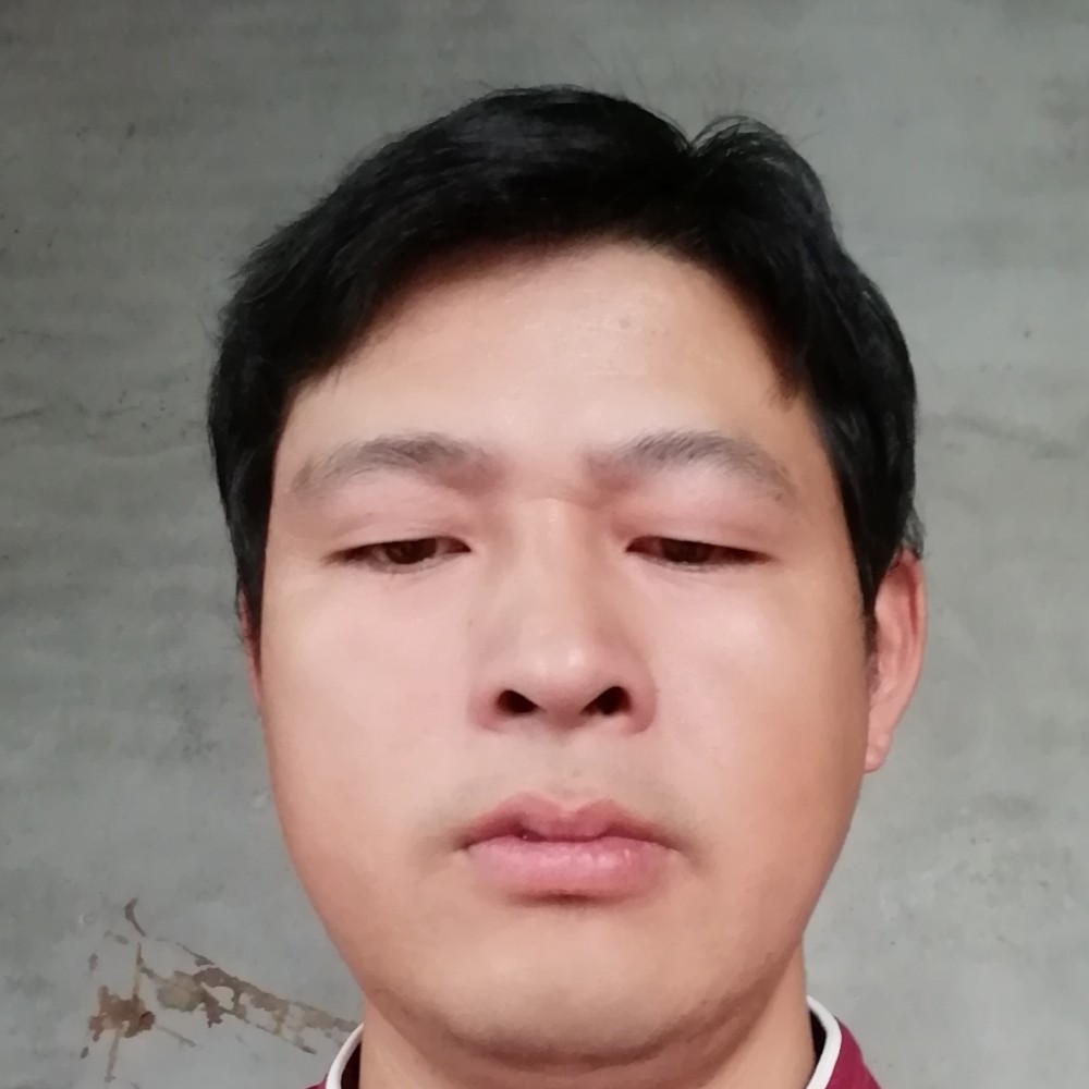 大树邂逅开放的照片