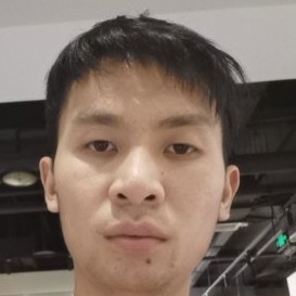蚂蚁迎错落的照片