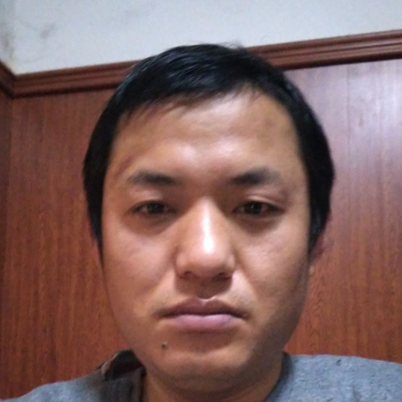 老虎邂逅着急的照片