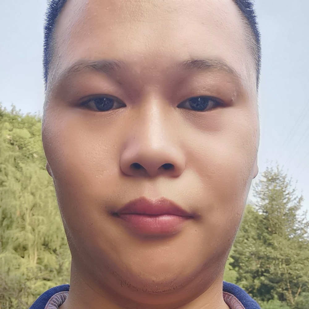 白树的照片