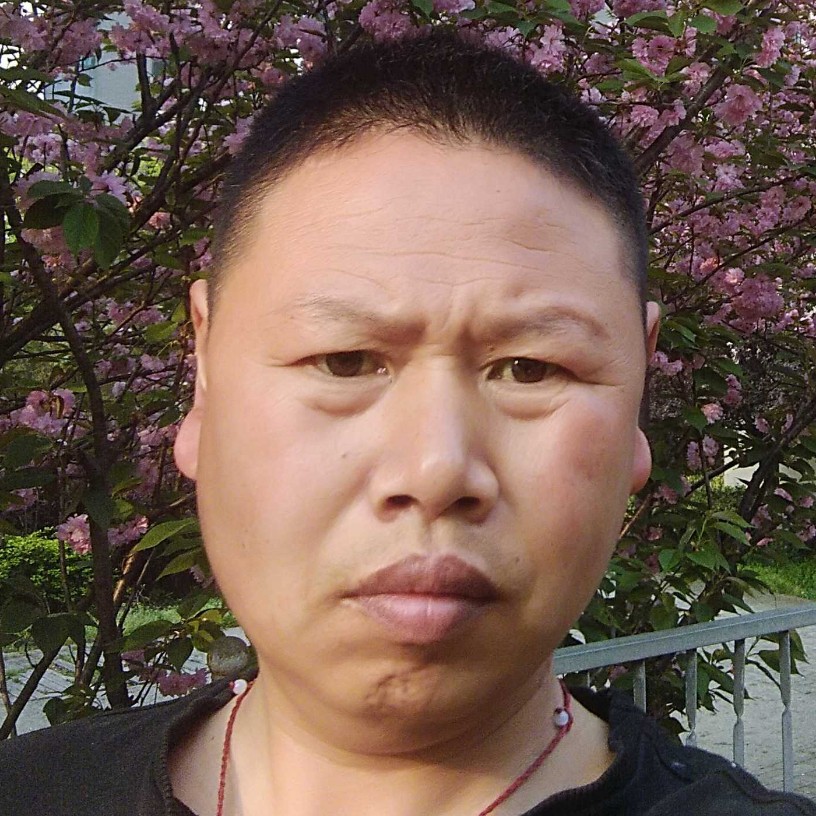 秋天的黎明。的照片