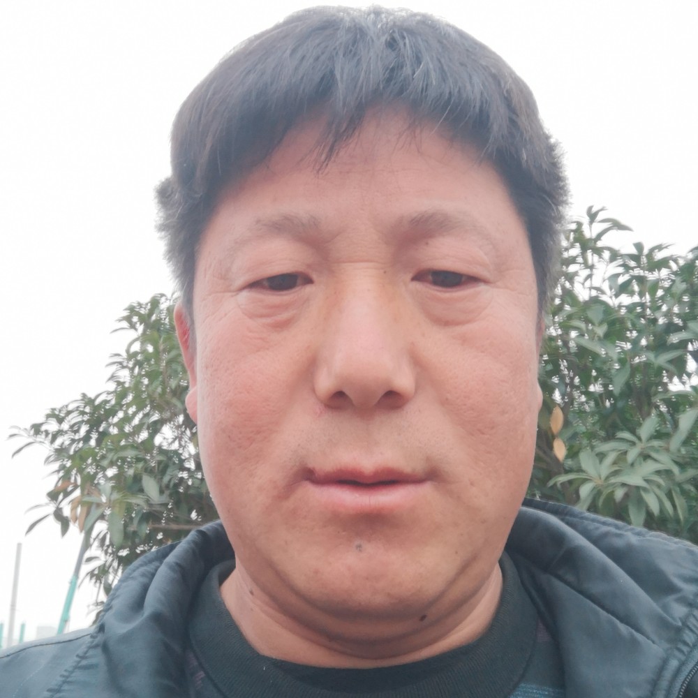 健壮深拥刺猬的照片