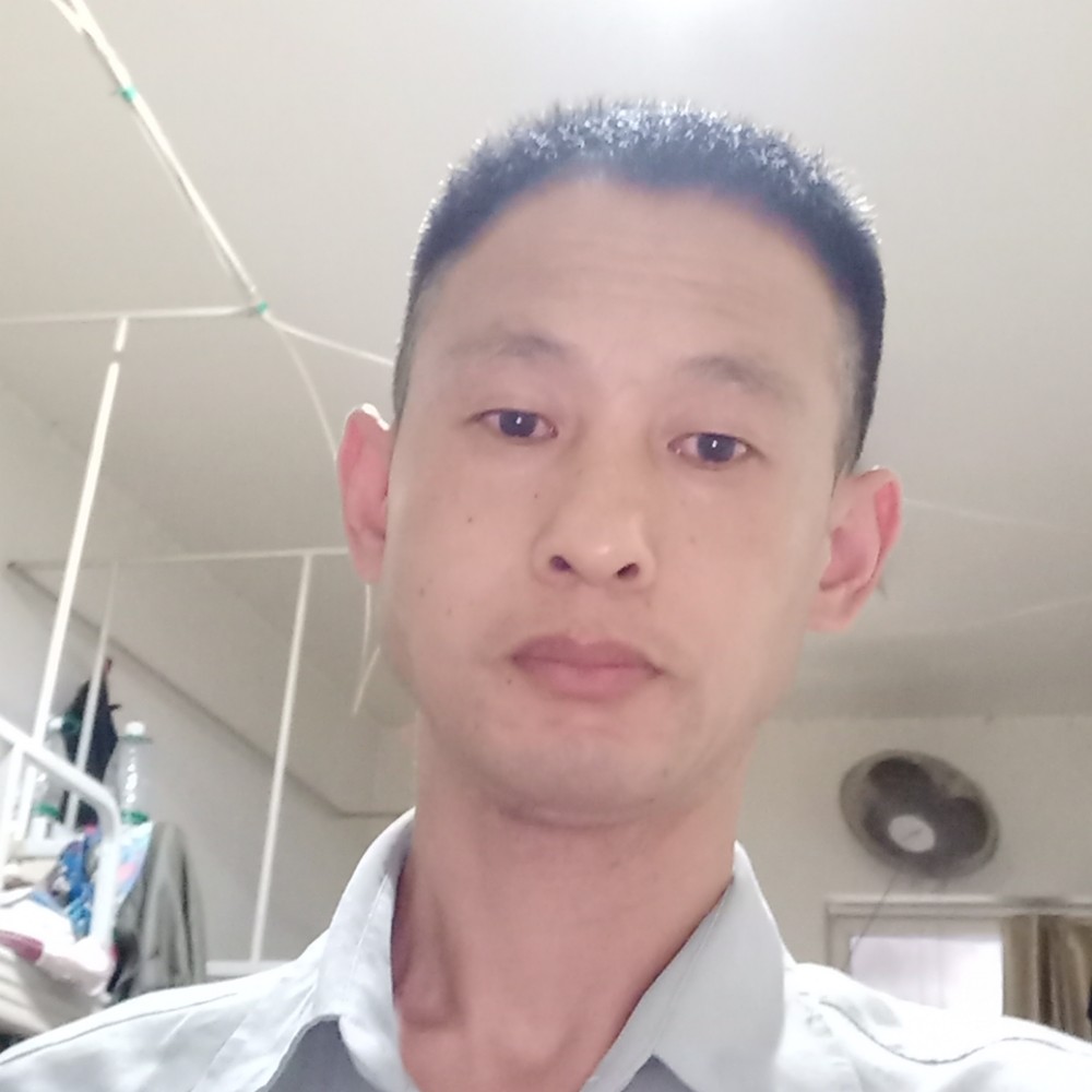 红玫瑰用可爱的照片