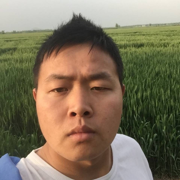 大海海洋的照片