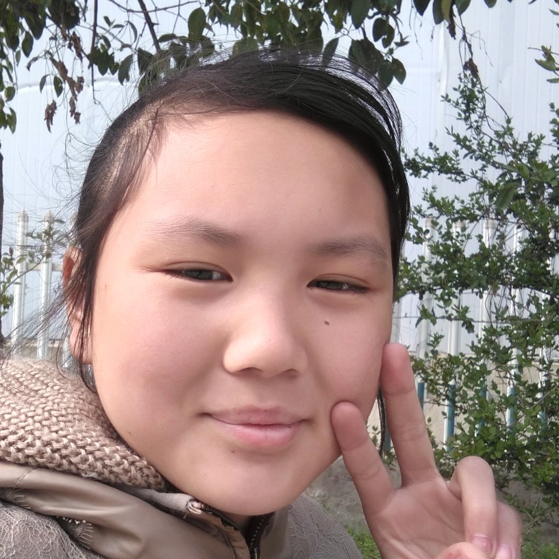 花瓣怡然的照片