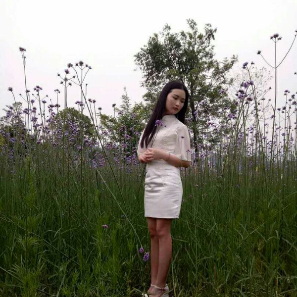 蜻蜓无心的照片