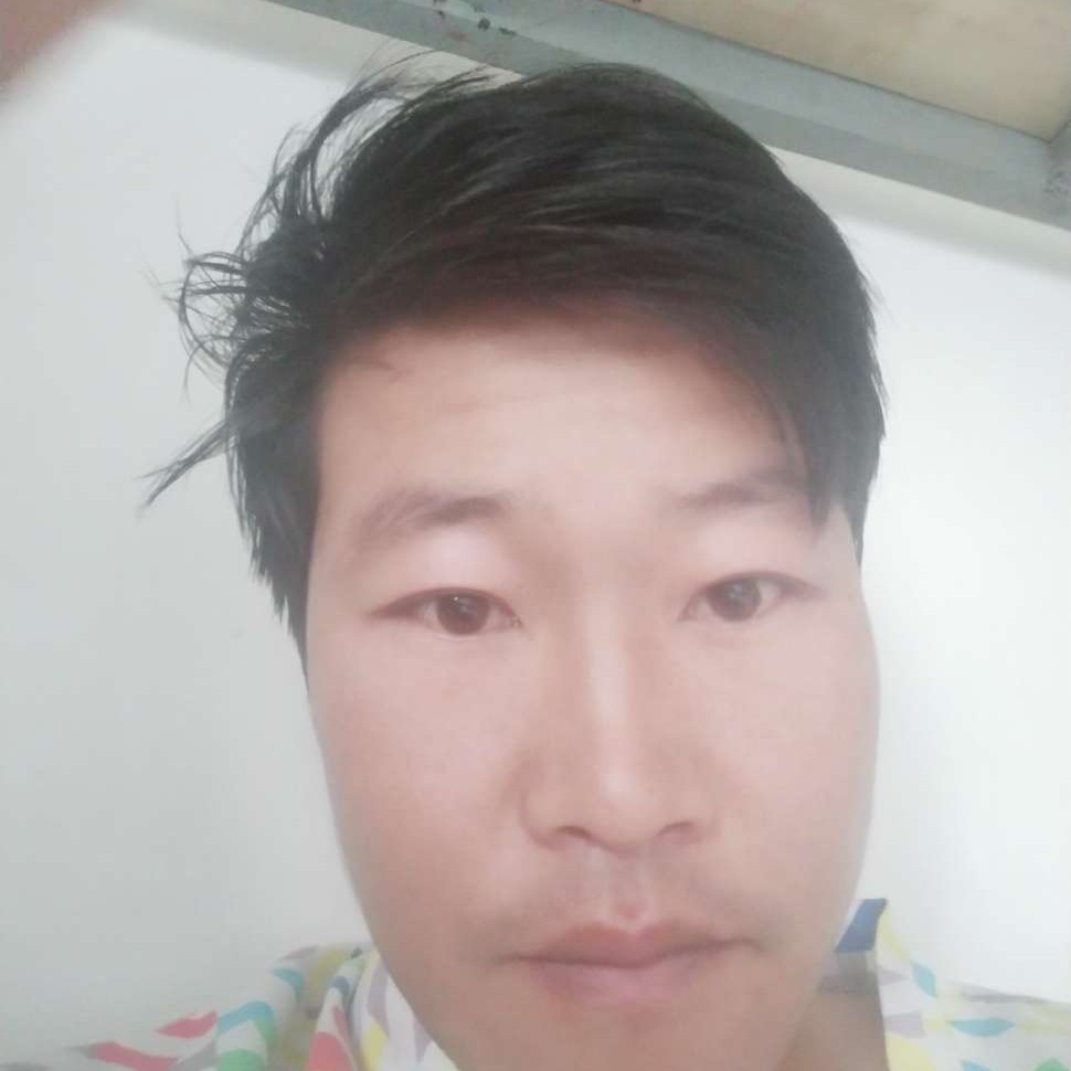 玫瑰多么清爽的照片