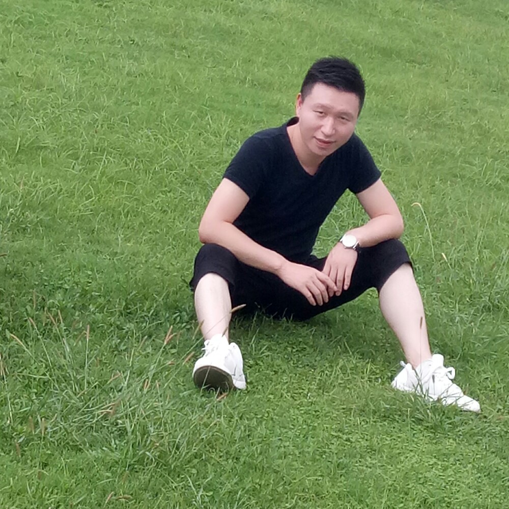 饱满向日葵的照片