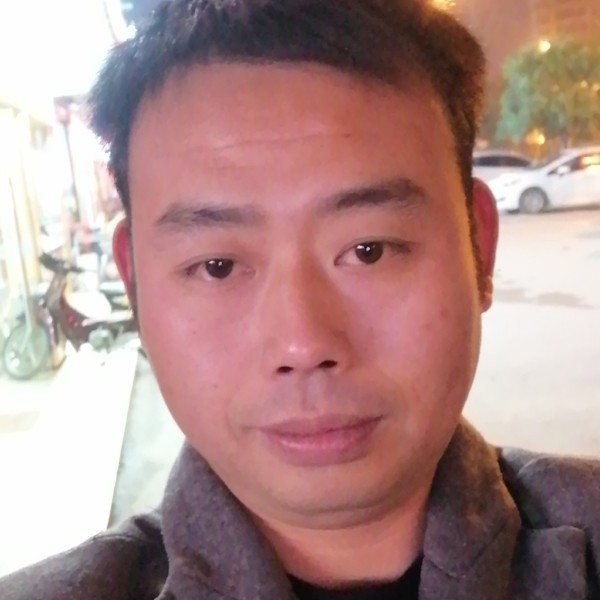 鲤鱼回眸海燕的照片