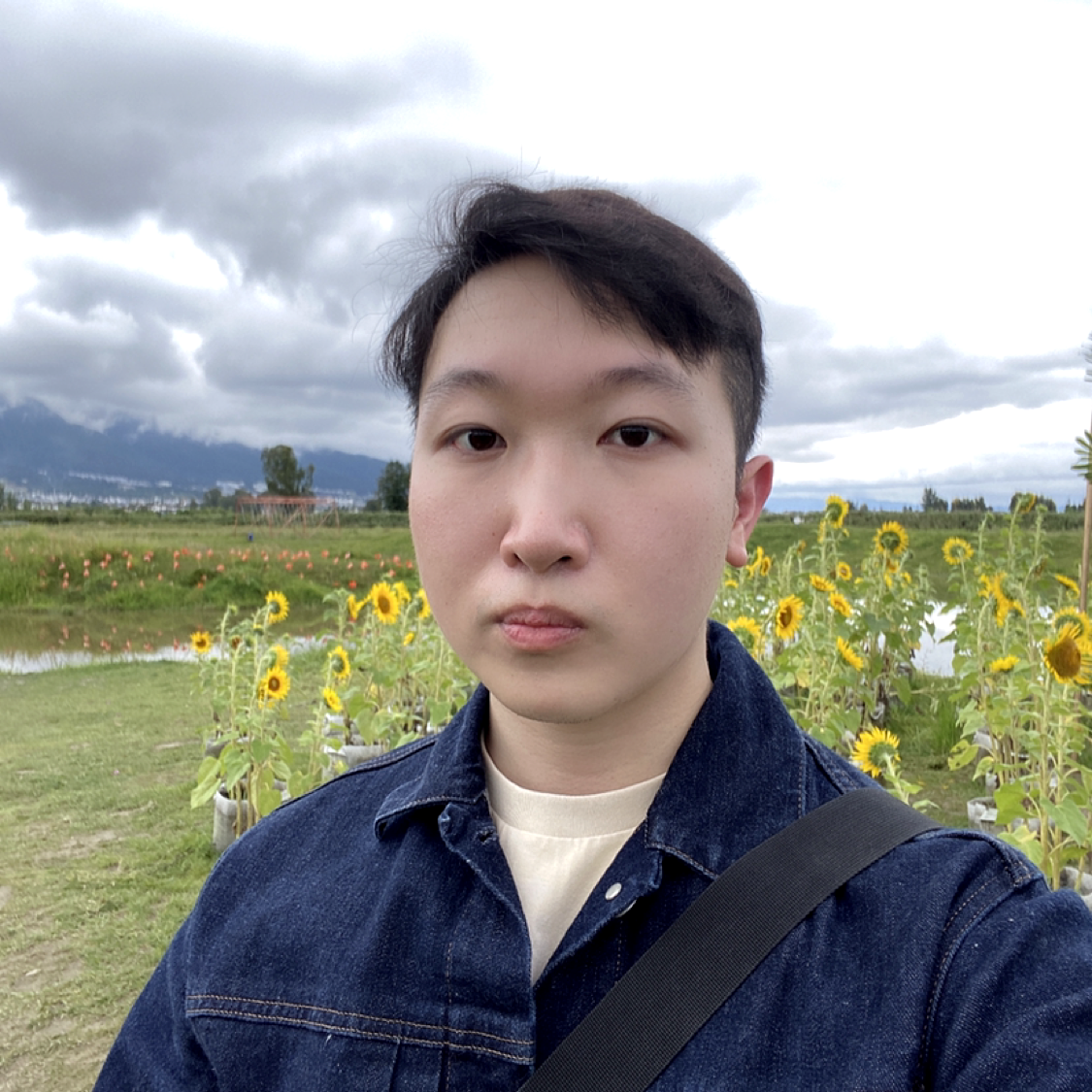 _南风的照片