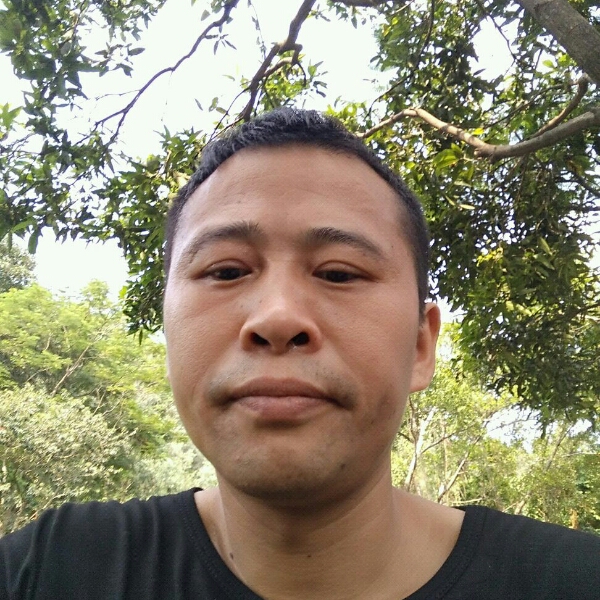 离歌打追寻的照片